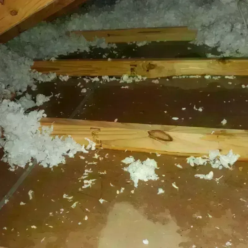 Attic Water Damage in Penndel, PA